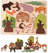 穴入れパズル木製 穴入れパズル木製 Amazon | 激難 孔明パズル 木製パズル 知能パズル